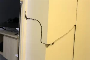 Fissure